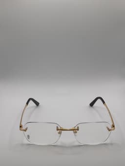 Cartier CT04070 - Photo 1