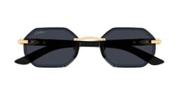Cartier CT0439S - vue 2