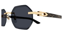 Cartier CT0439S - vue 3