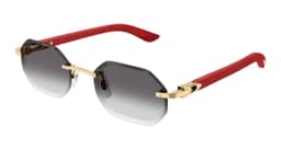 Cartier CT0439S - vue 5